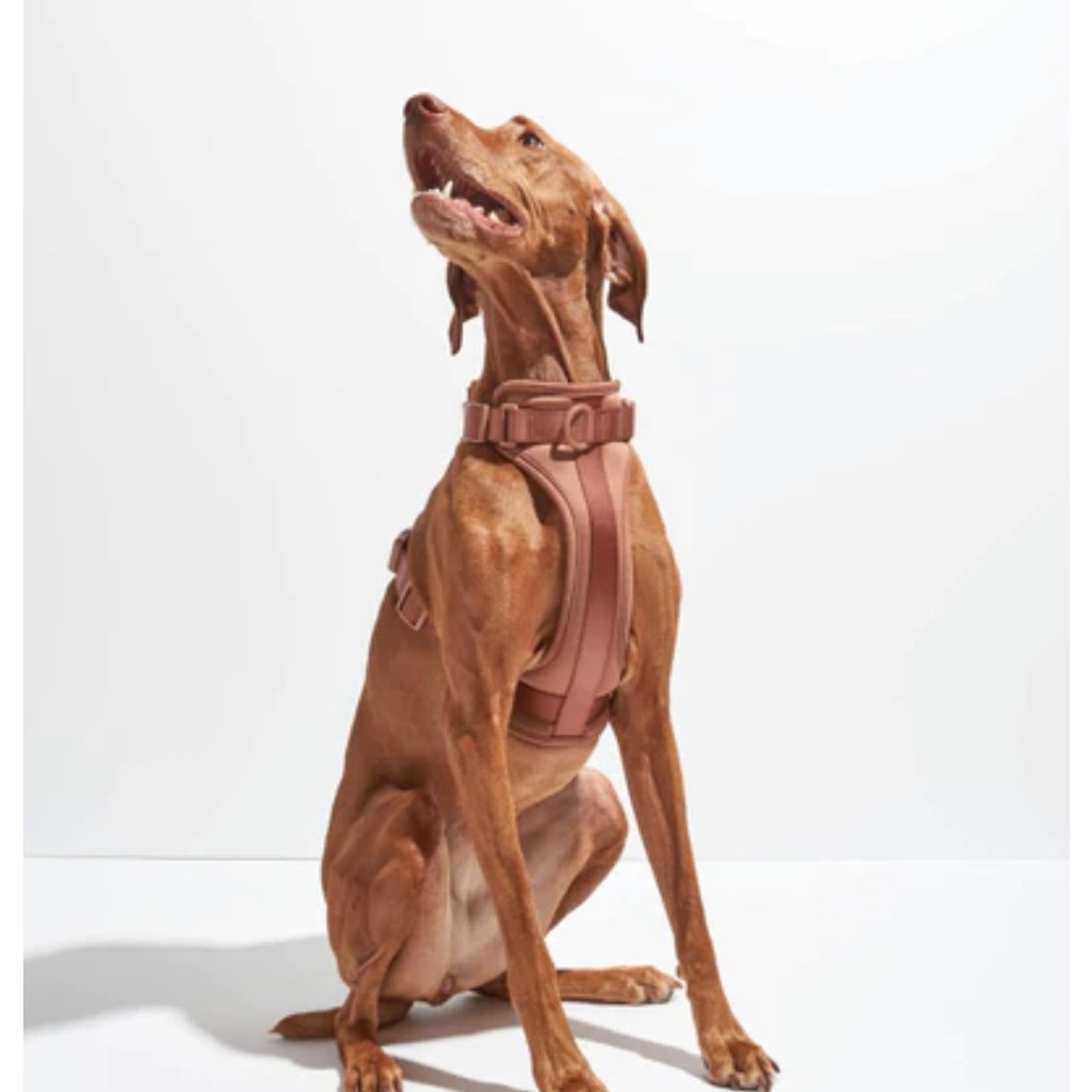 Wild One Comfort Dog Harness - Large